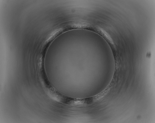 X0000091370163200708171552