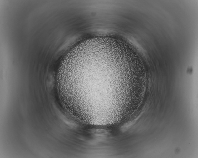 X0000091370165200708171552