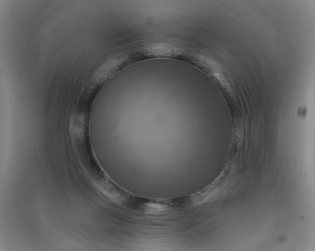 X0000091370167200708171552