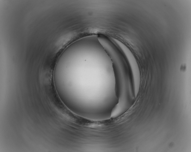 X0000091370168200708171552