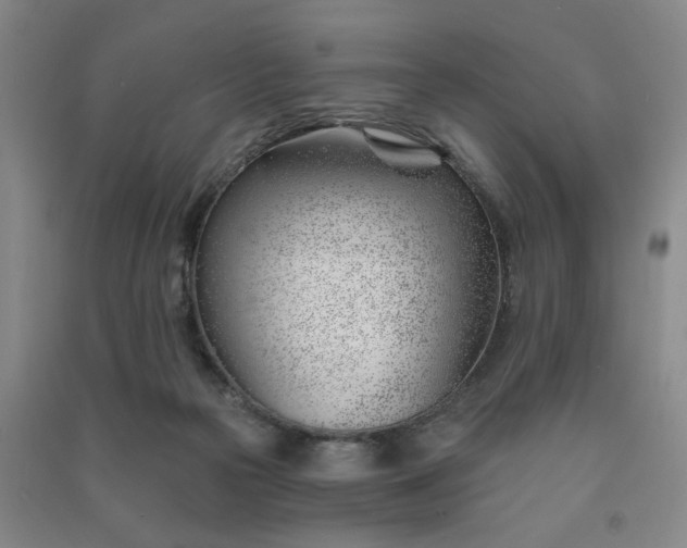 X0000091370169200708171552