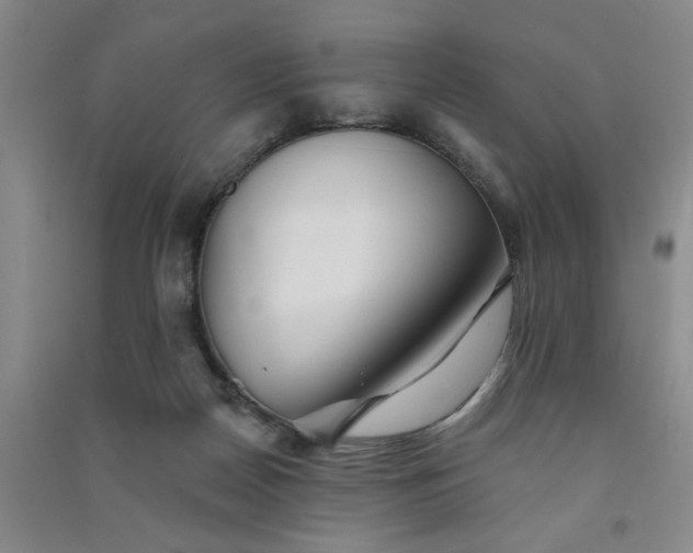 X0000091370170200708171552