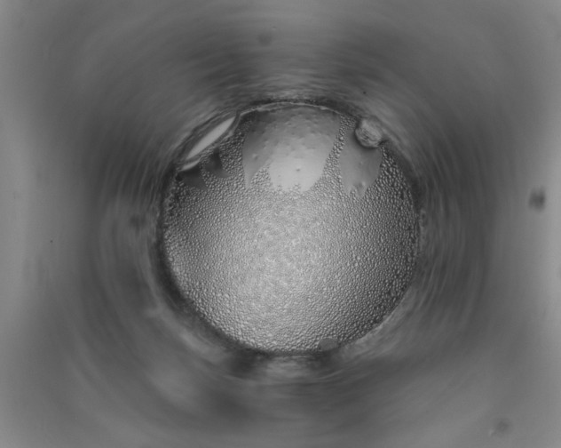 X0000091370171200708171552