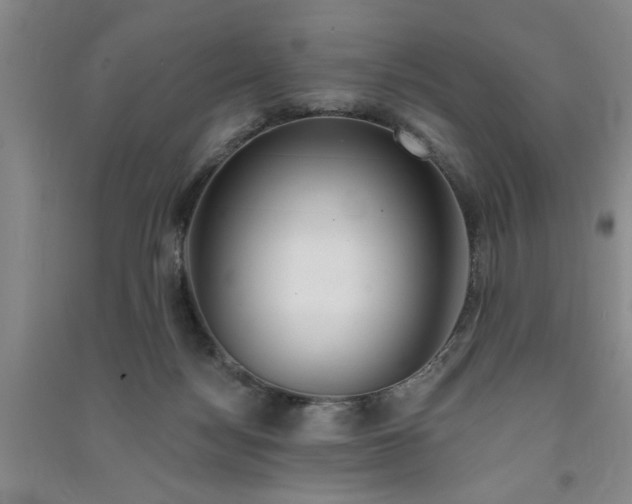 X0000091370172200708171552