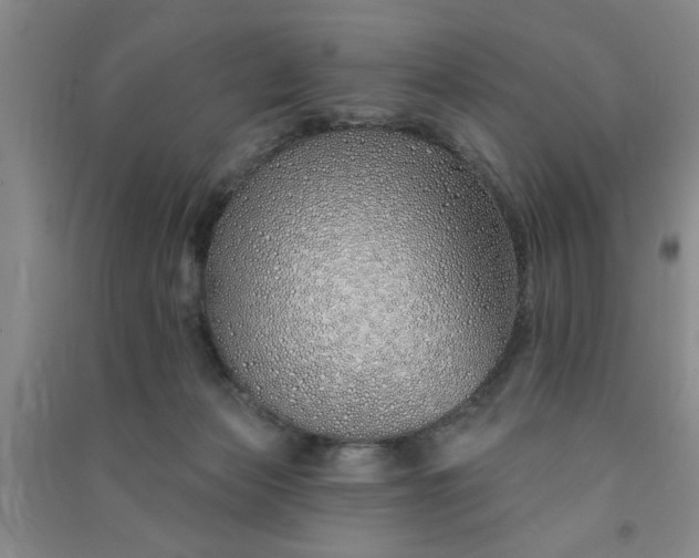 X0000091370173200708171552