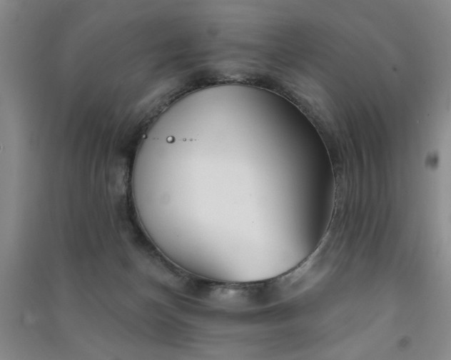 X0000091370174200708171552