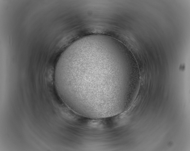 X0000091370175200708171552