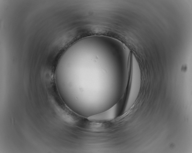 X0000091370176200708171552