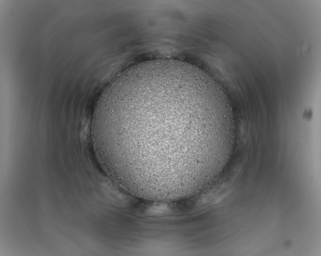 X0000091370177200708171552