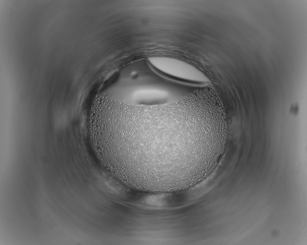 X0000091370178200708171552