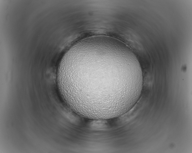 X0000091370179200708171552