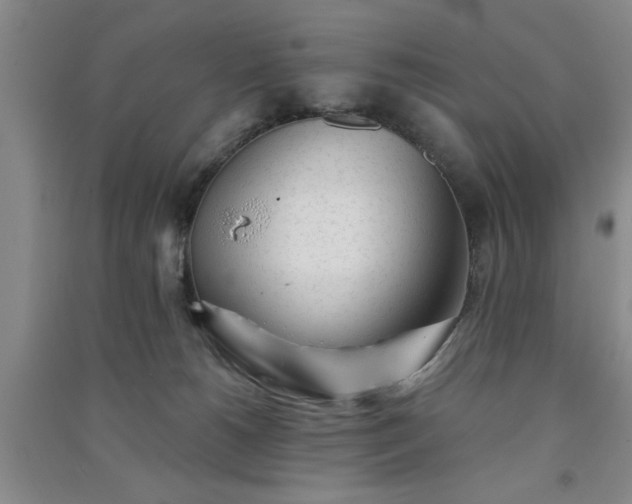 X0000091370180200708171552