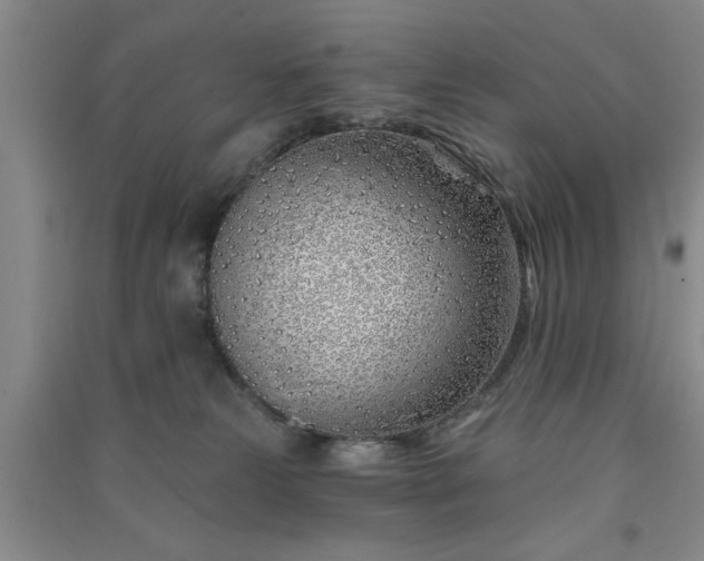 X0000091370181200708171552