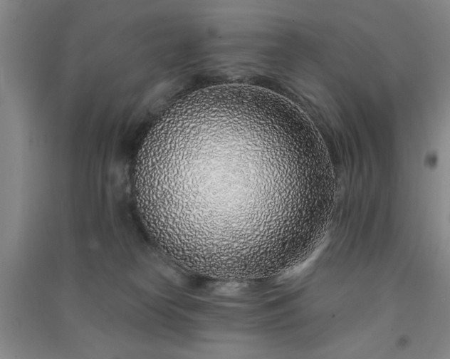 X0000091370182200708171553