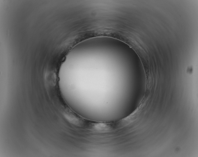 X0000091370183200708171553