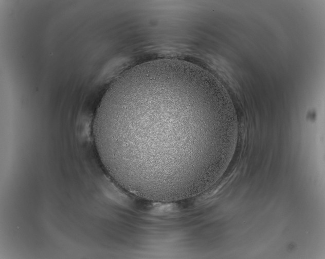 X0000091370185200708171553