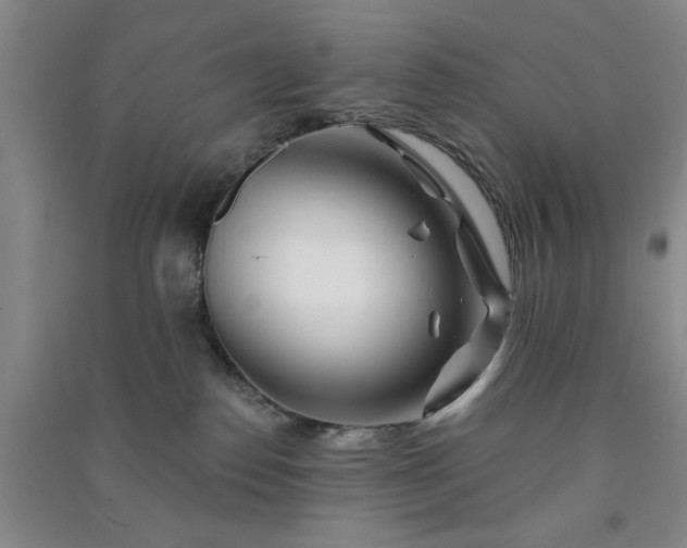 X0000091370186200708171553