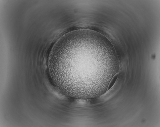 X0000091370187200708171553