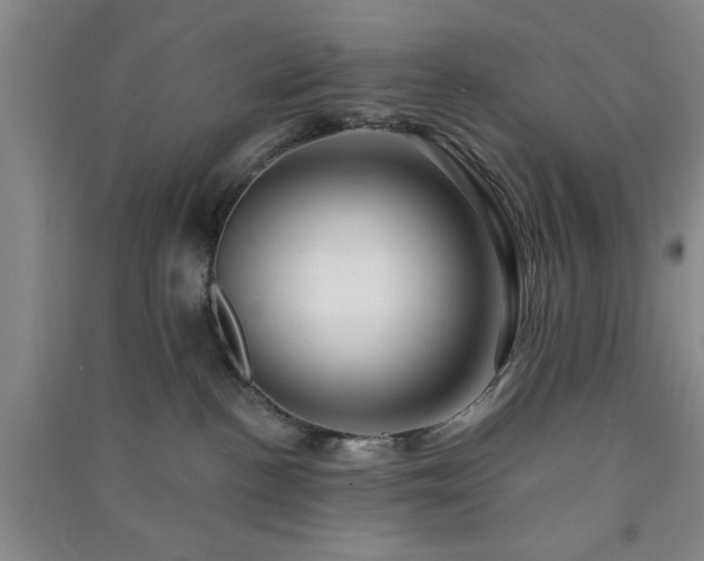 X0000091370188200708171553