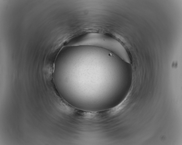 X0000091370192200708171553