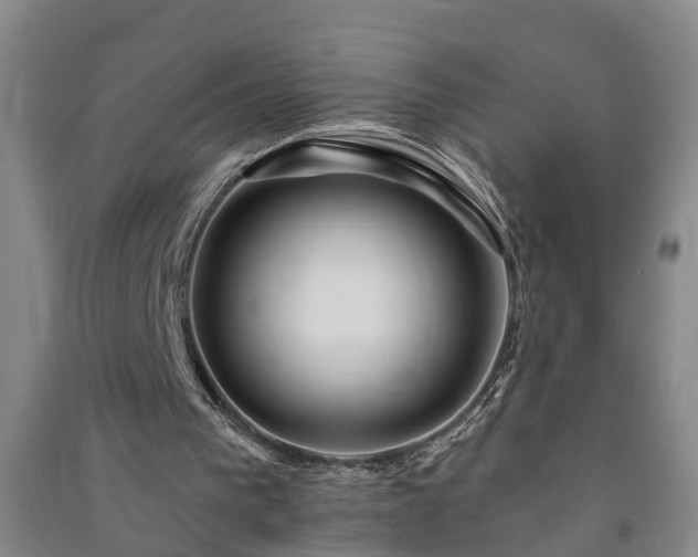 X0000091370193200708171552