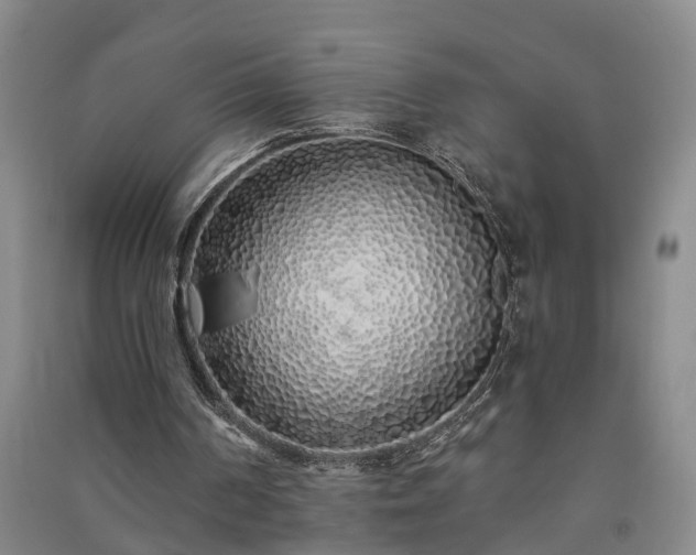 X0000091370194200708171552