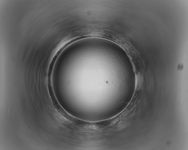 X0000091370195200708171552