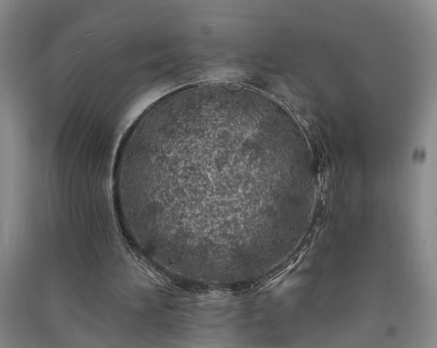 X0000091370196200708171552