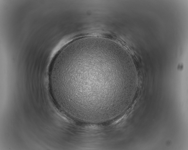 X0000091370198200708171552