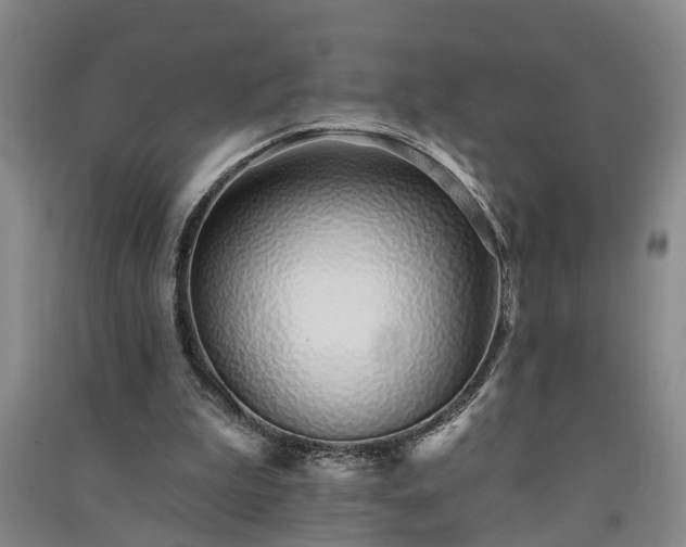 X0000091370199200708171552