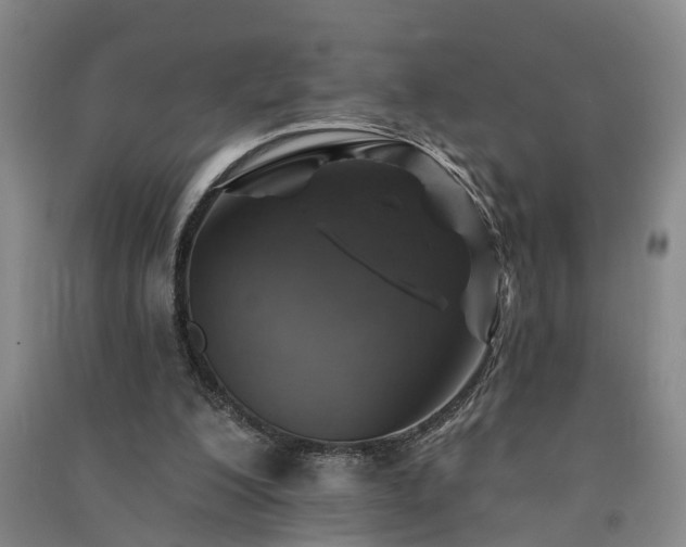 X0000091370200200708171552