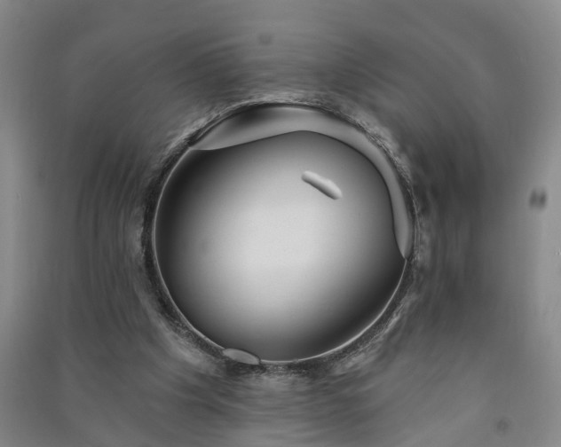 X0000091370201200708171552