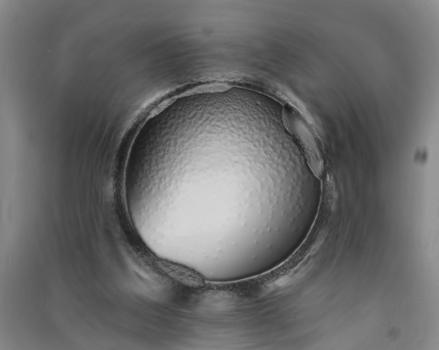 X0000091370203200708171552