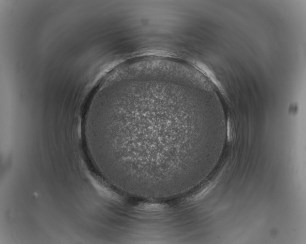 X0000091370205200708171552