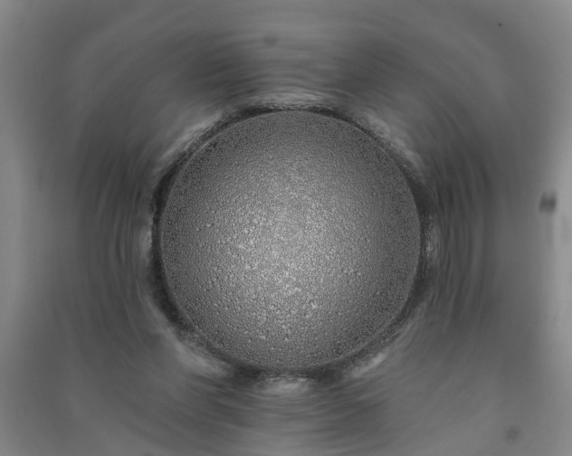 X0000091370206200708171552