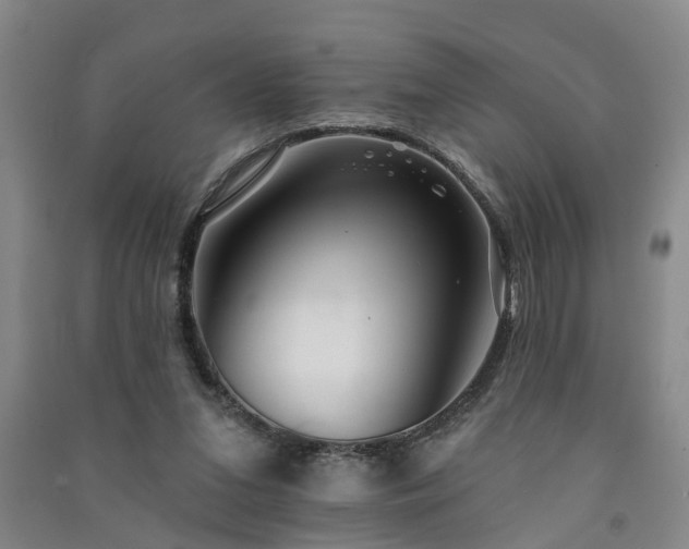 X0000091370207200708171552