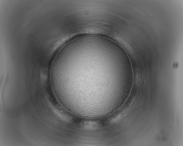 X0000091370208200708171552