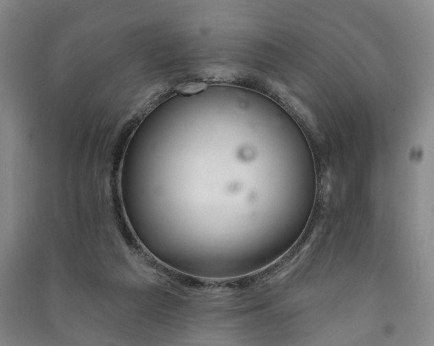 X0000091370209200708171552