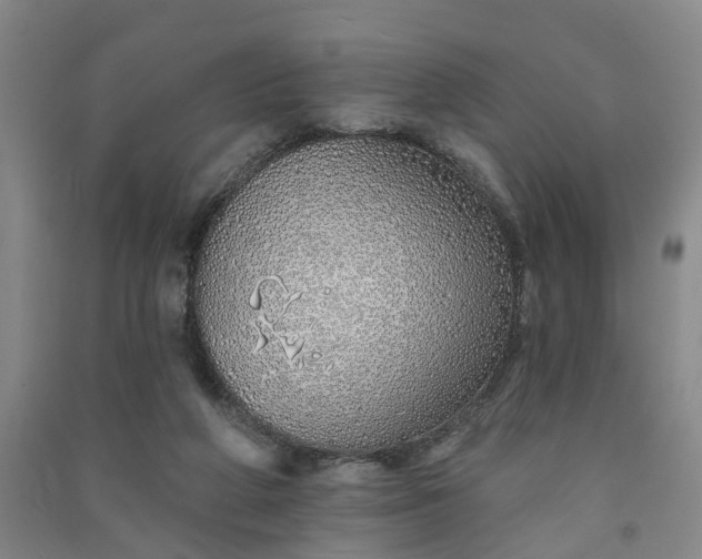 X0000091370210200708171552