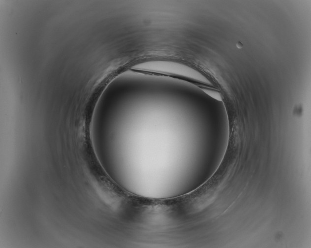 X0000091370212200708171552