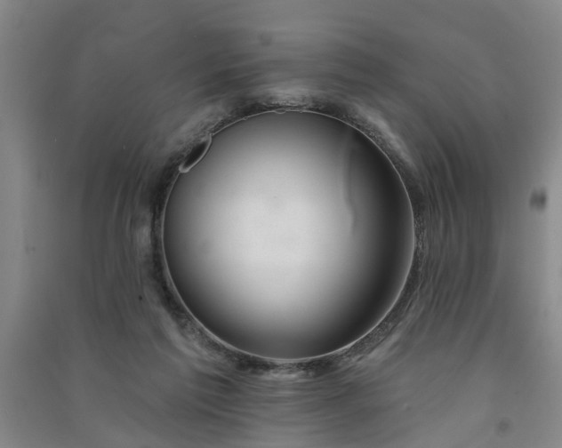 X0000091370213200708171552