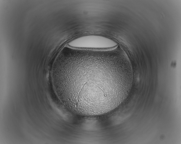 X0000091370214200708171552