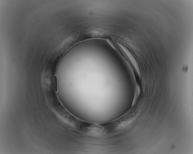 X0000091370215200708171552