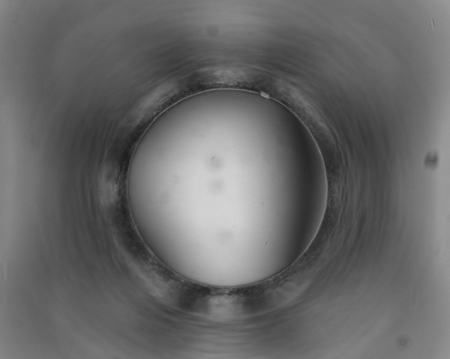 X0000091370216200708171552