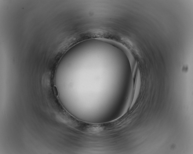 X0000091370217200708171552