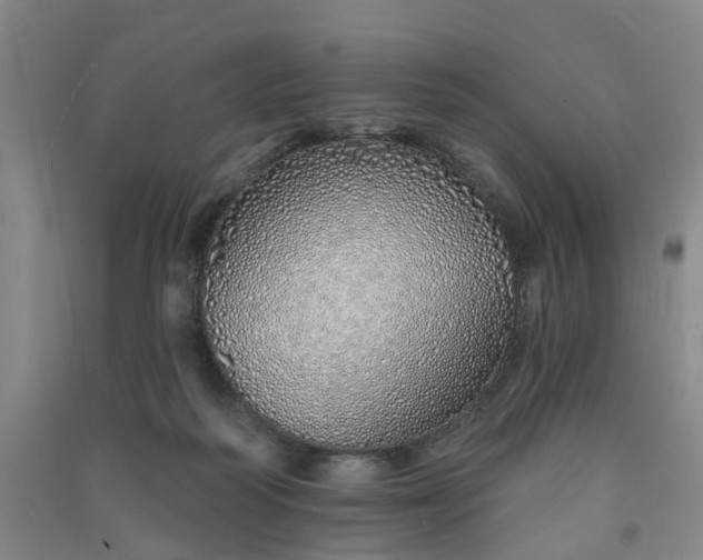 X0000091370218200708171552