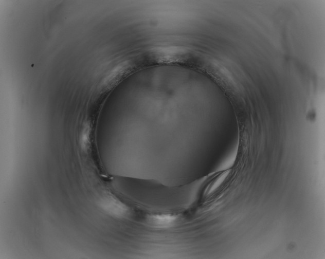 X0000091370219200708171552