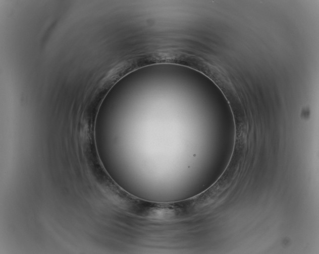 X0000091370220200708171552