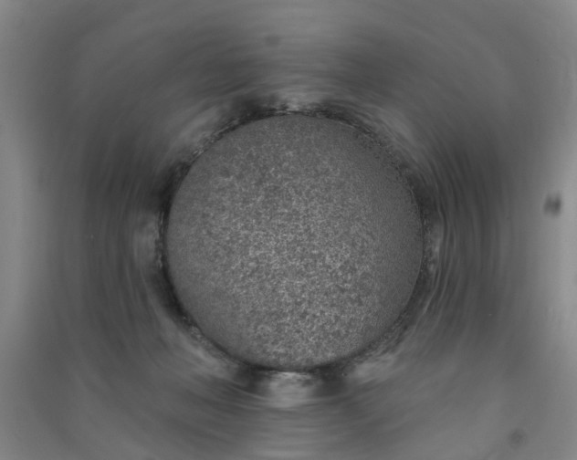 X0000091370222200708171552