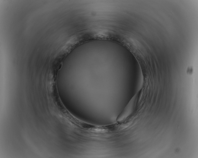 X0000091370223200708171552